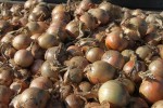 Brown onions